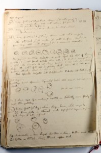 Page 107 from Sir Ronald Ross diary noting moment of discovery
